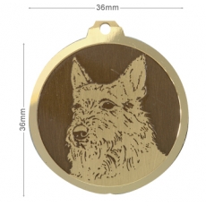 Medaille chien gravee Berger Picard