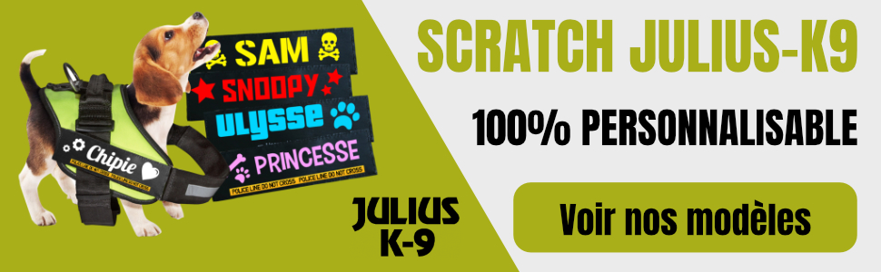 espace scratch julius k9