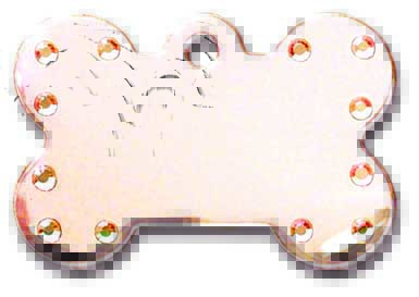 medaille chien os strass or