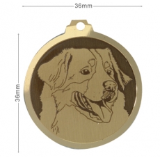 Medaille chien gravee Bouvier Bernois