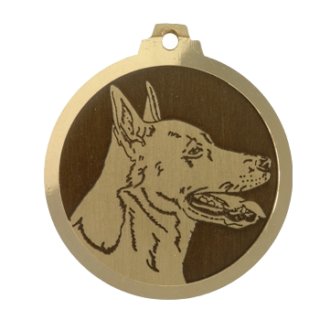 Médaille chien gravée Dogue de Canaan