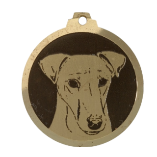 Médaille chien gravée Fox Terrier Poils Lisses