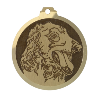 Médaille chien gravée Lévrier Barzoï