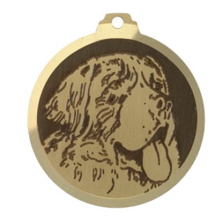 Médaille chien gravée Saint-Bernard