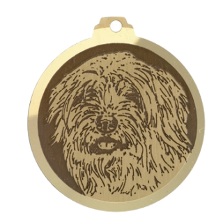 Médaille chien gravée Schapendoes