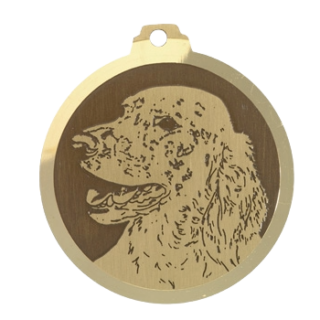 Médaille chien gravée Setter Anglais