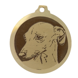 Médaille chien gravée Lévrier Italien