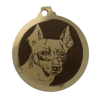 Médaille chien gravée Pinscher Nain