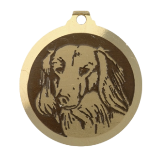 Médaille chien gravée Teckel poils longs