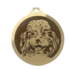 Médaille chien gravée Caniche Moyen