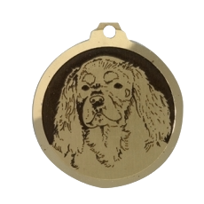 Médaille chien gravée Cavalier King Charles