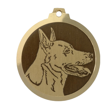 Médaille chien gravée Dogue de Canaan
