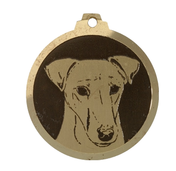 Médaille chien gravée Fox Terrier Poils Lisses