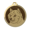 Médaille chien gravée Shiba Inu