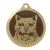 Médaille chien gravée Norwich Terrier