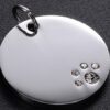 Médaille personnalisée luxe pour chien & chat avec strass Ronde avec Patte – Gravure haut de gamme – Bijou élégant et résistant
